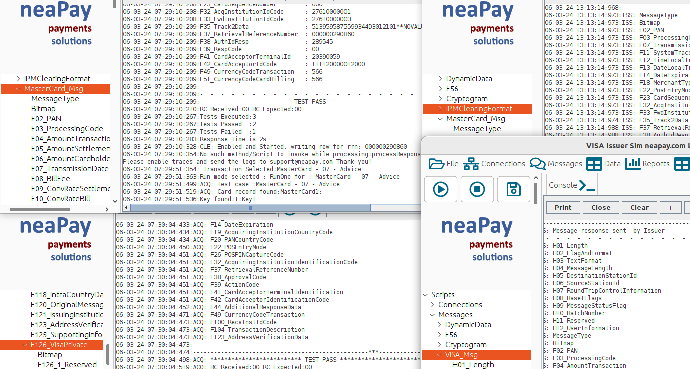 ISO8583 simulator Visa MasterCard Amex CUP configuration demo video
